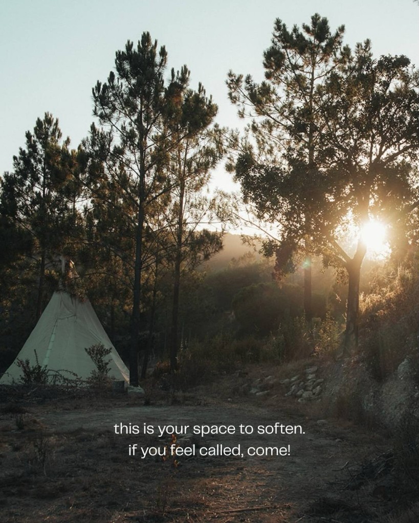 A teepee among the pines at golden hour